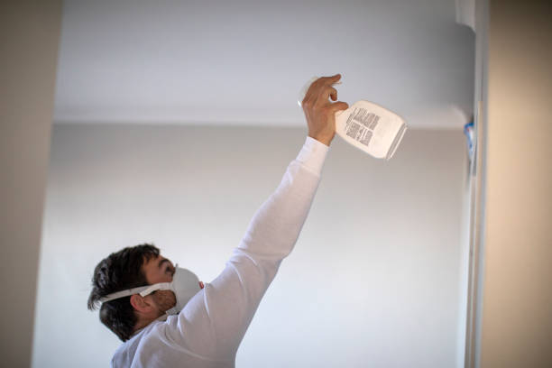 Best Preventive Mold Services in Woodlake, CA