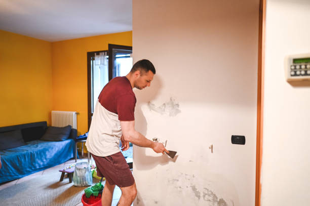 Best Mold Testing and Inspection Services in Woodlake, CA